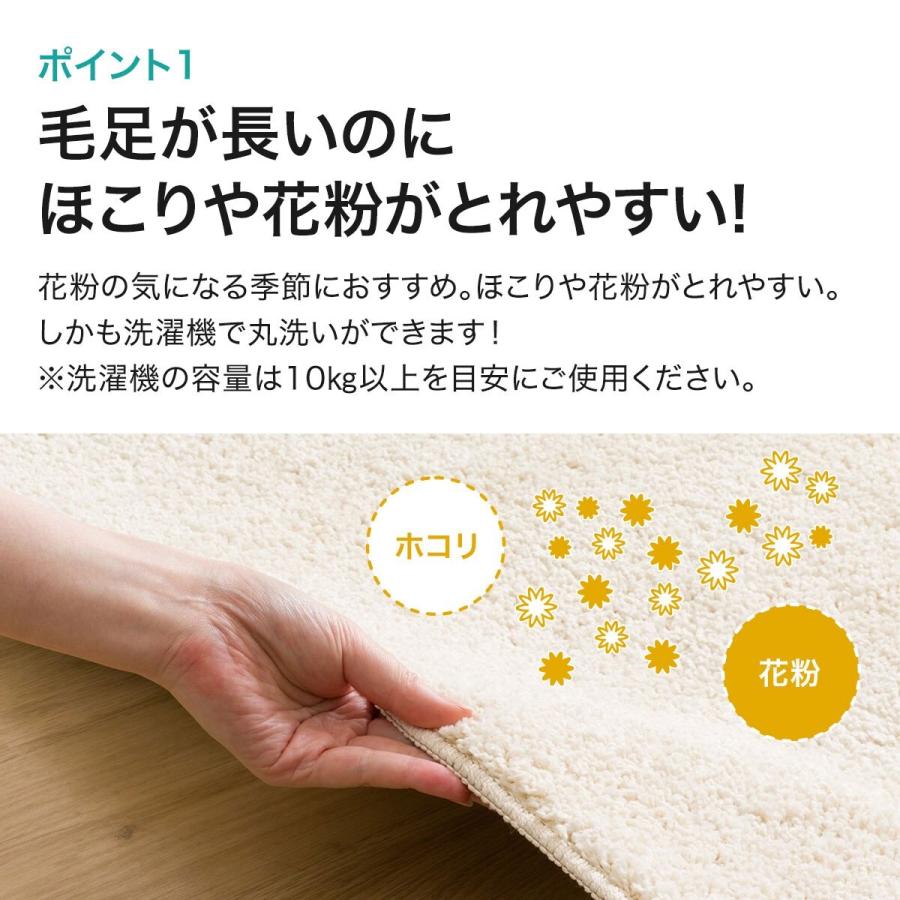 ニトリ ほこりがとれやすい洗えるラグ(130X185 BE SR002