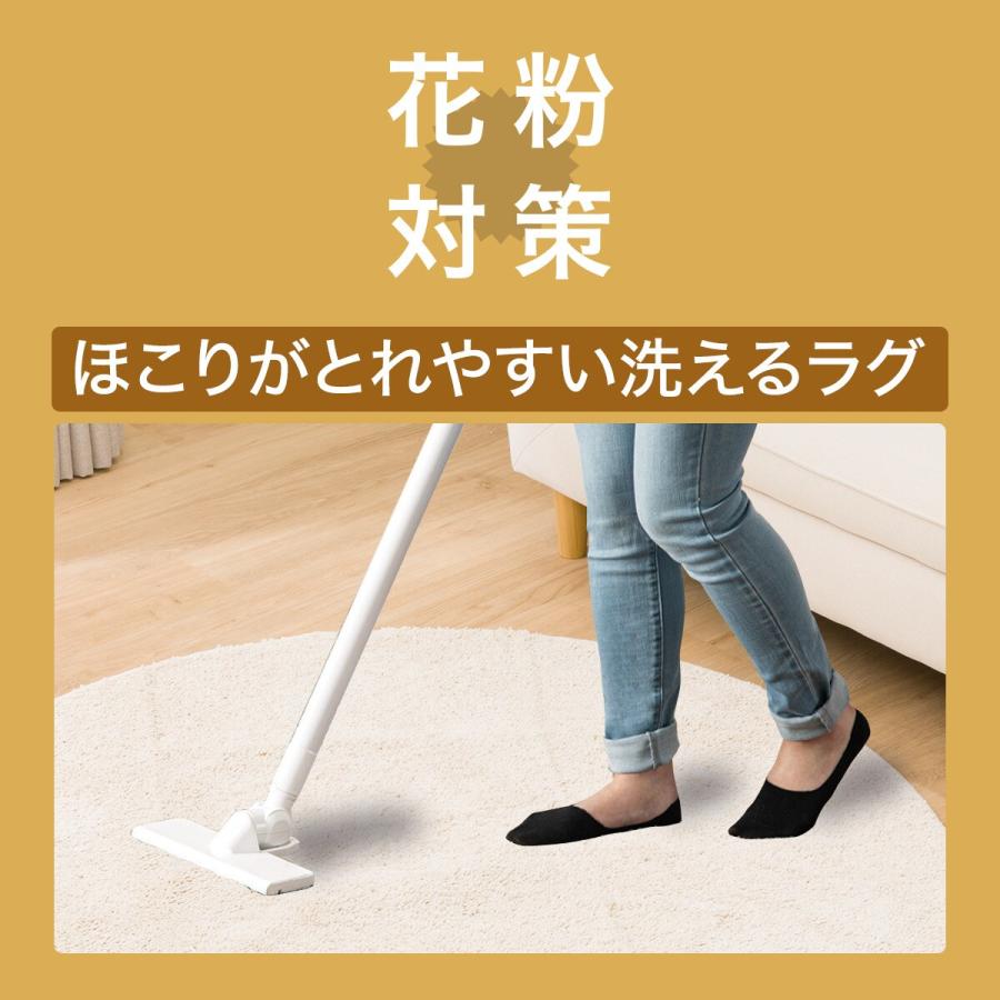 ニトリ ほこりが取れやすい洗えるラグ(130R BE SR002) : ニトリ