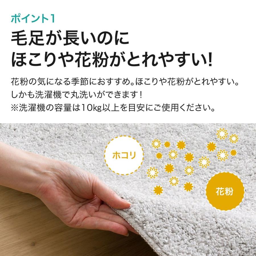 値下げしました【新品】ニトリ ほこりがとれやすい洗えるラグ 200X240 BE ニトリ ほこりが取れやすい洗えるラグ(タフトラグ 200X240 GY