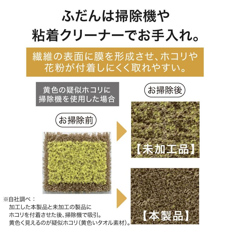 ニトリ ほこりがとれやすい洗えるラグ(200X240 LGYSR002