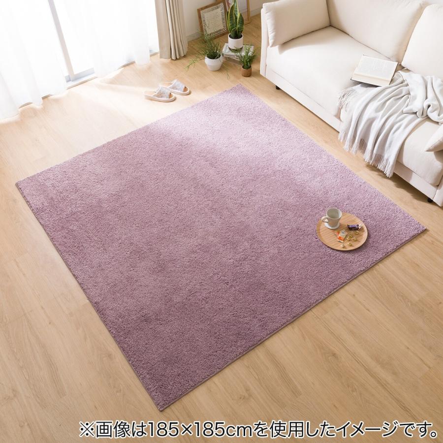 ニトリ ほこりがとれやすい洗えるラグ(130X185 RO SR002
