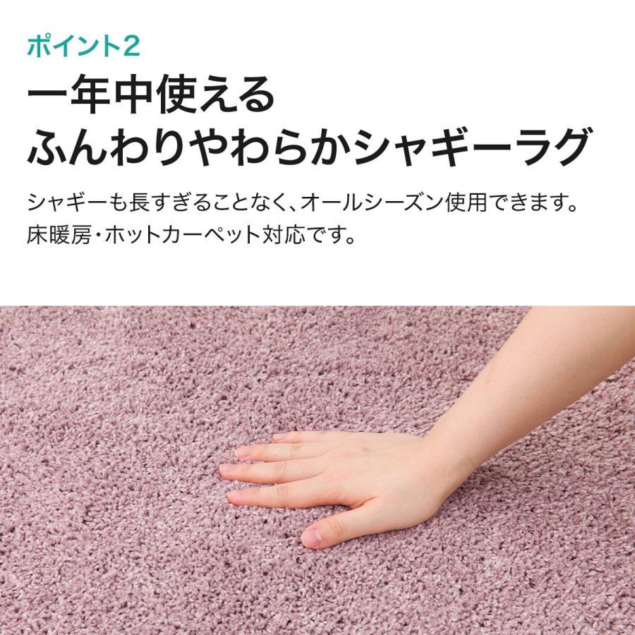 ニトリ（NITORI） ほこりが取れやすい洗えるラグ(130R RO SR002