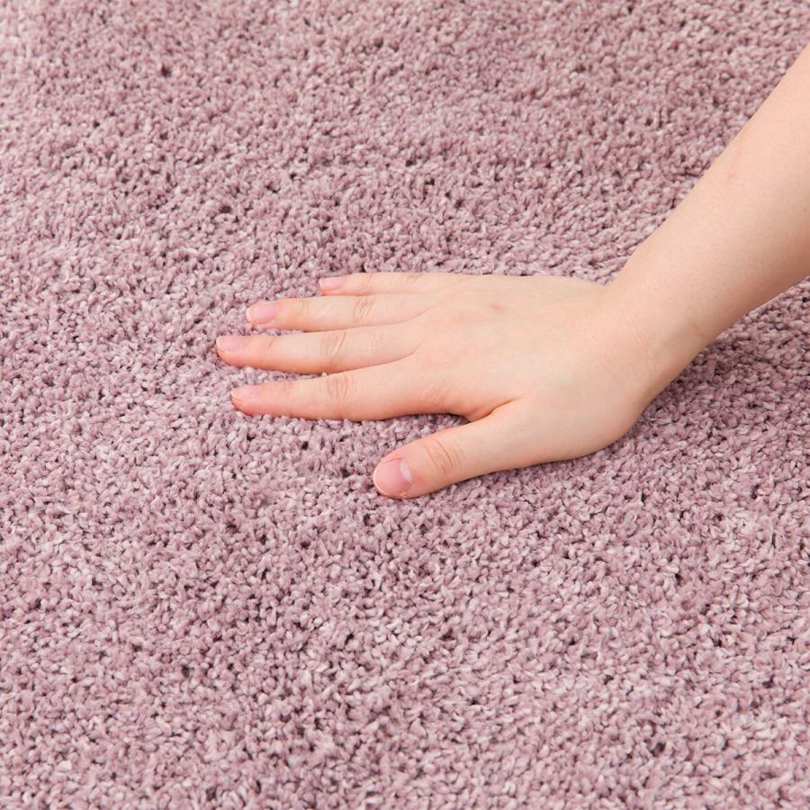 ニトリ（NITORI） ほこりが取れやすい洗えるラグ(130R RO SR002