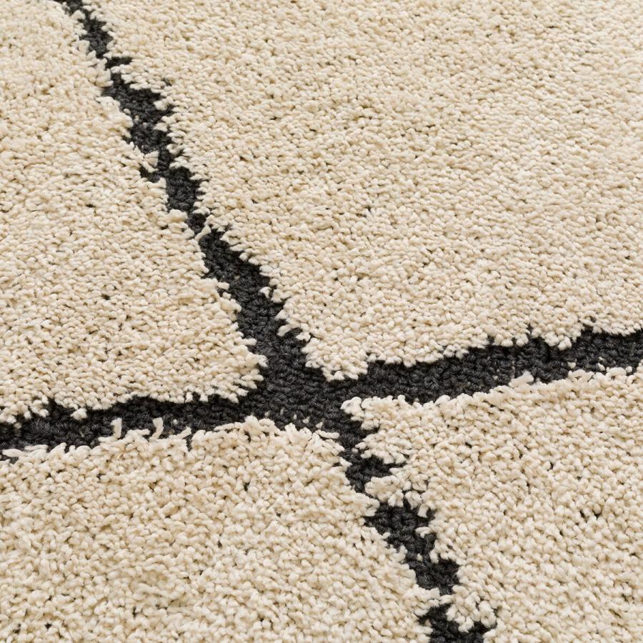 ほこりが取れやすい洗えるラグ(タフトラグ BE SR003) ニトリ ほこりが取れやすい洗えるラグ(タフトラグ 200X240 BE