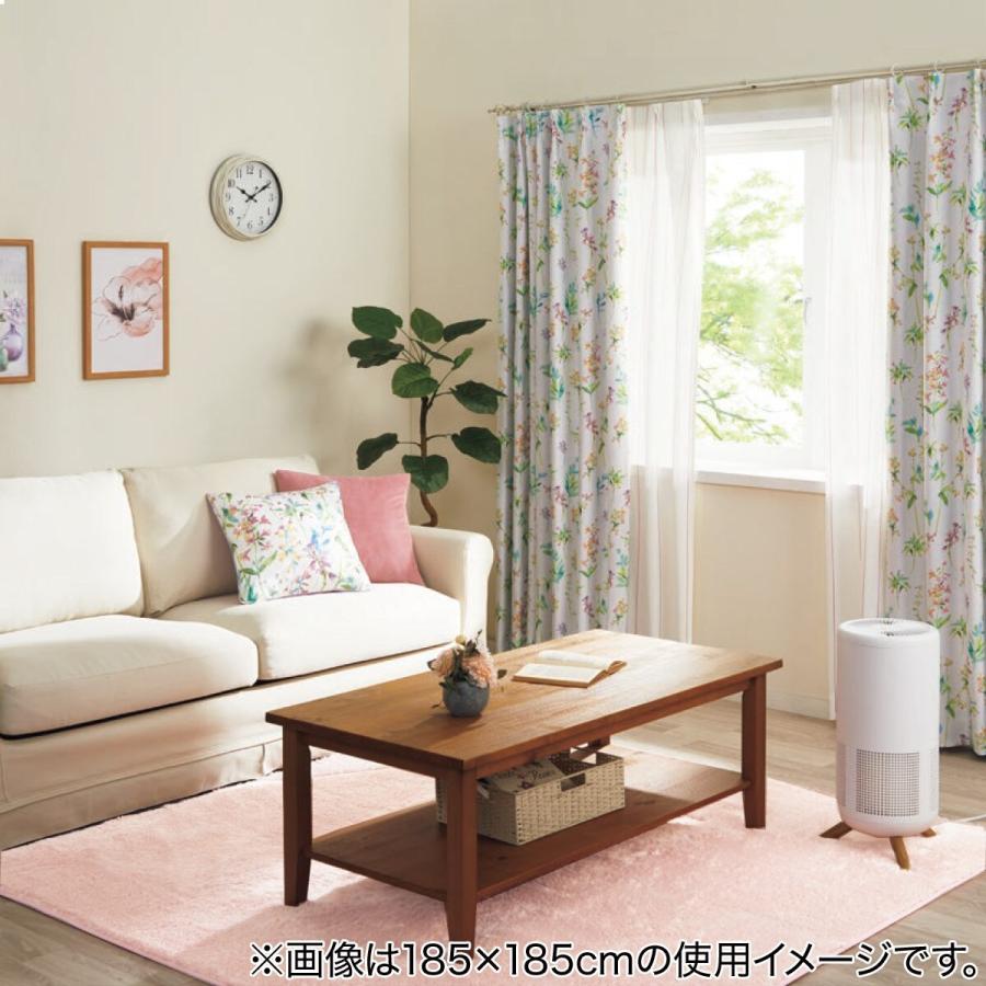 お掃除簡単 ホコリがとれやすいラグ クリーンアップ Ro 130x185 ニトリ 1年保証 玄関先迄納品 ニトリ Yahoo 店 通販 Yahoo ショッピング