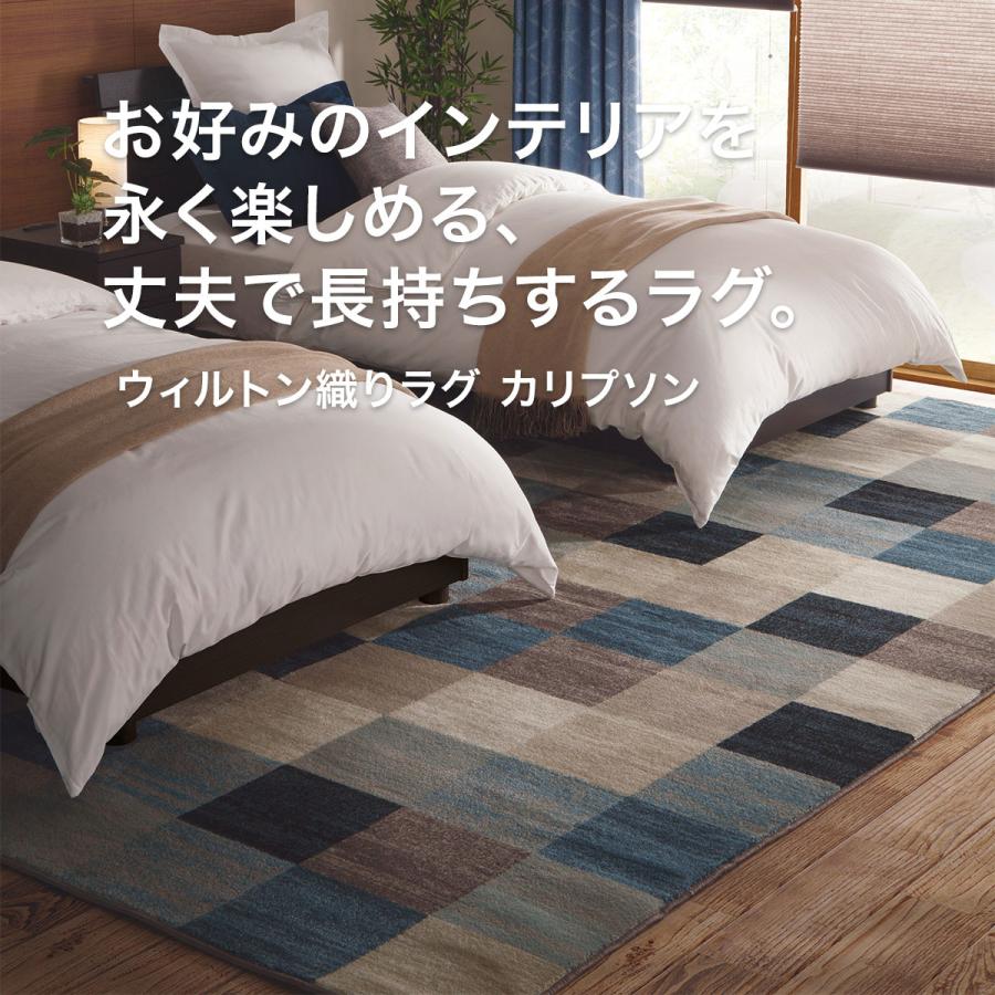 ニトリ（NITORI） アクセントラグ(カリプソン 200X285) 柄物