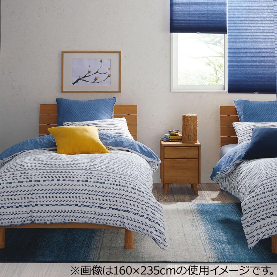 ニトリ（NITORI） アクセントラグ(Gミラベル 160X235) 柄物 カーペット