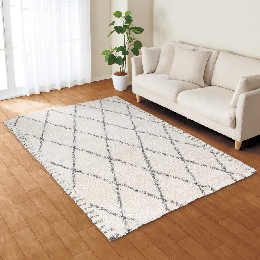 ニトリ（NITORI） アクセントラグ(リラシャグ 160X235) 柄物