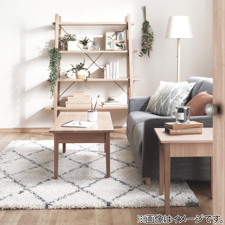 ニトリ（NITORI） アクセントラグ(リラシャグ 160X235) 柄物