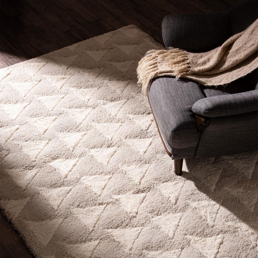 ニトリ（NITORI） アクセントラグ(Nラカーザ 160X235) : ニトリ Yahoo