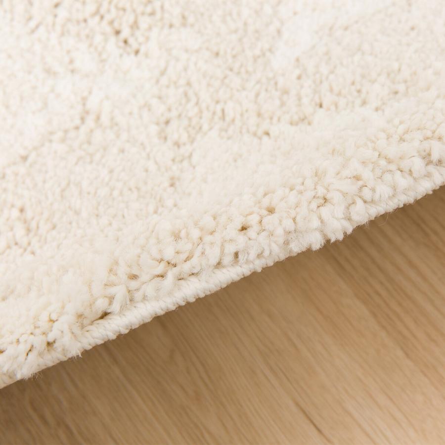 ニトリ（NITORI） アクセントラグ(Nラカーザ 160X235) : ニトリ Yahoo