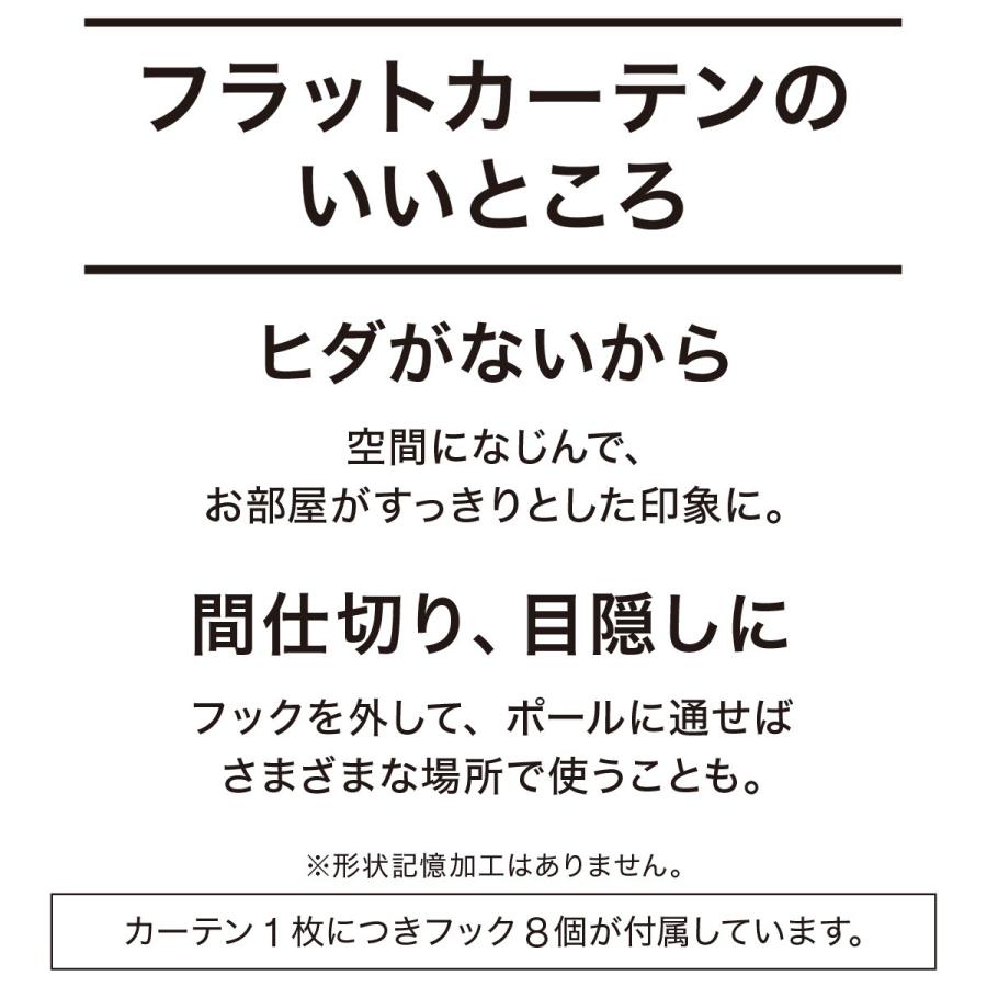 ニトリ 既製カーテン(CT01 グレー 110X178X2) 2枚 両開き ニトリ 既製カーテン(CT01 グレー 110X178X2) 2枚 両開き