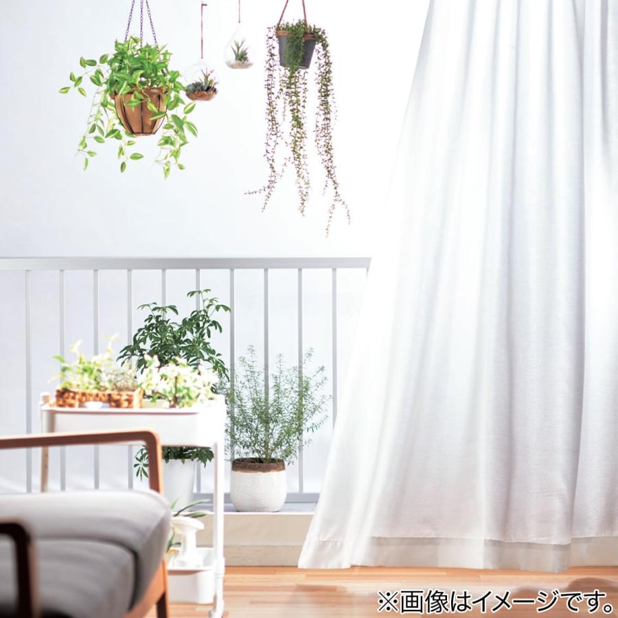 ニトリ エコナチュレ レースカーテン 100×118×4枚 ニトリ（NITORI） 遮