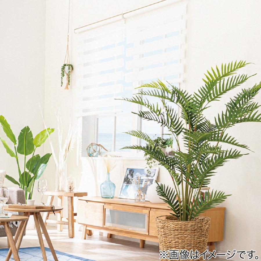 ニトリ（NITORI） 調光ロールスクリーン(コンビ3WH 60x180) : ニトリ