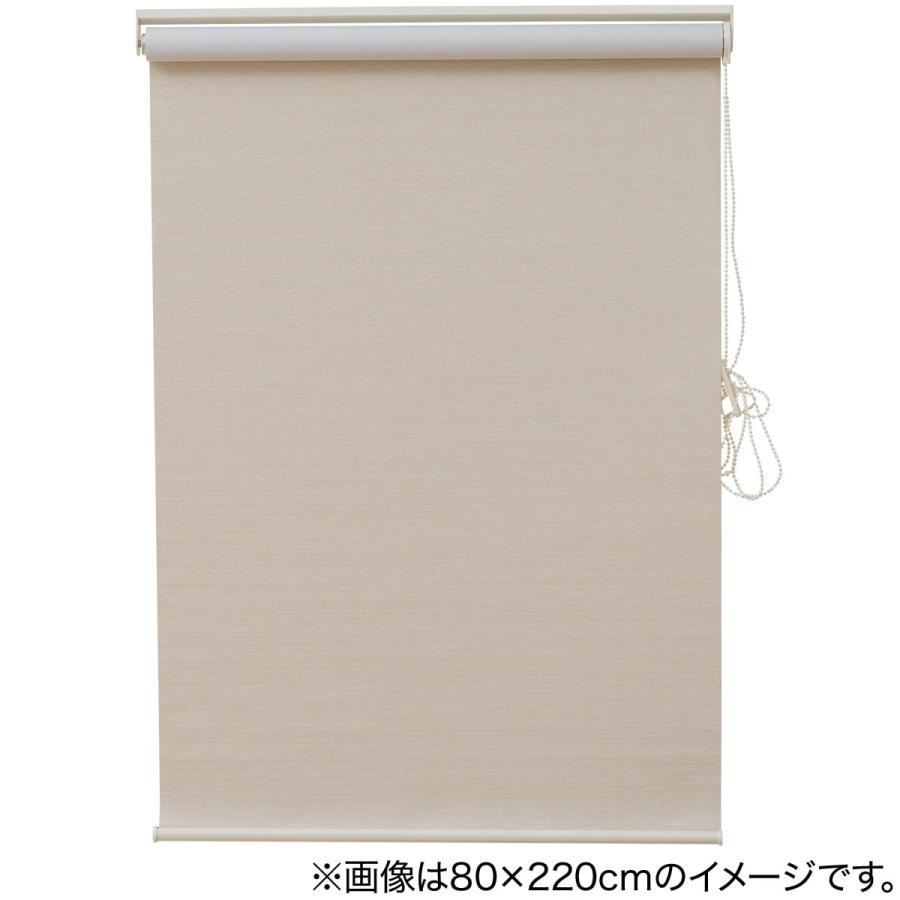 ニトリ（NITORI） 遮光・消臭ロールスクリーン(アクト IV 80X220) 幅80