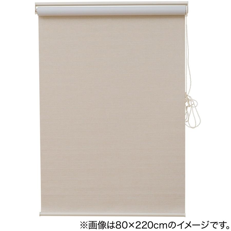 ニトリ 遮光・消臭ロールスクリーン(アクト IV 165X220) 幅165 ニトリ 遮光・消臭ロールスクリーン(アクト IV 165X220) 幅165
