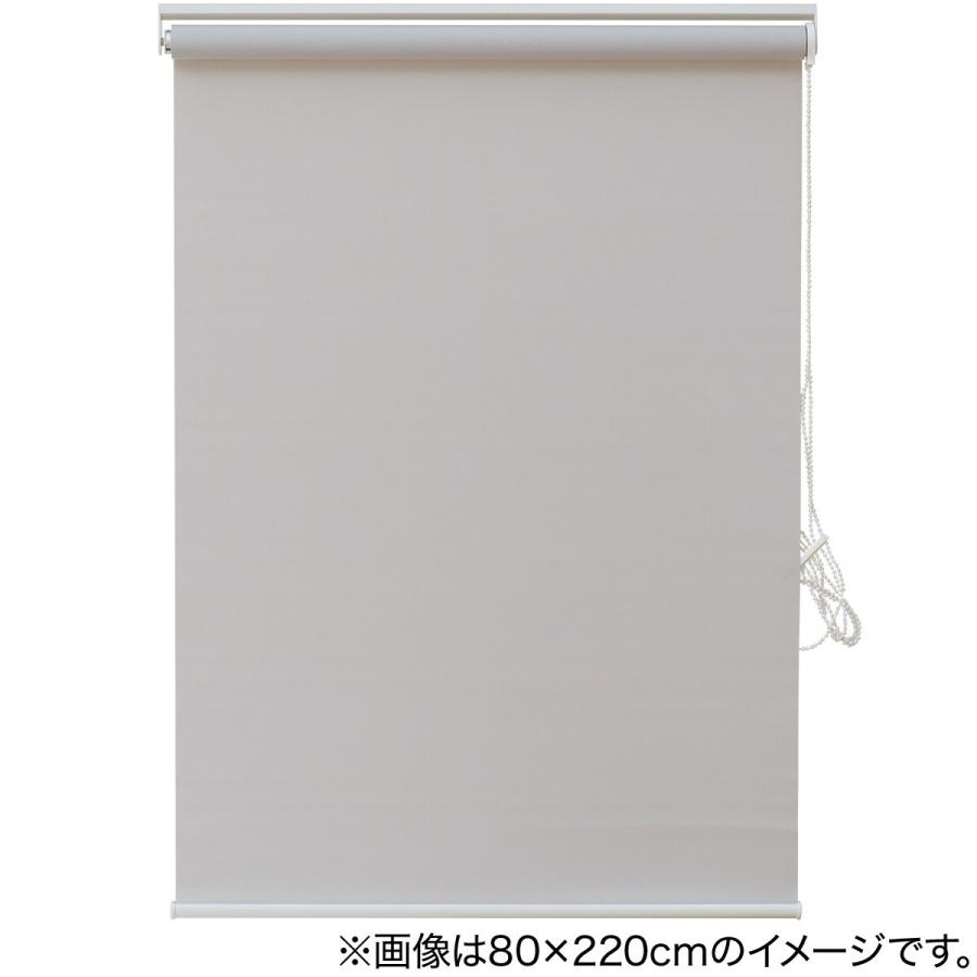 ホワイト 新品ロールスクリーン 未開封3個未使用1個 消臭加工ロールスクリーン(DE1 IV 60X180) | ニトリネット【公式