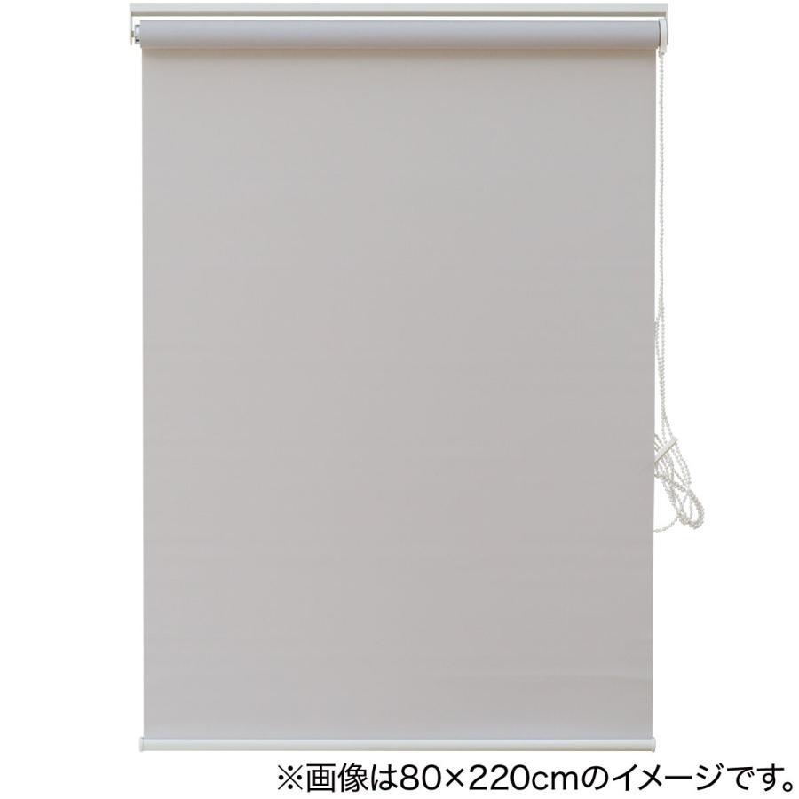 ニトリ（NITORI） 消臭加工ロールスクリーン(DE1 GY 165X220) 幅165×丈