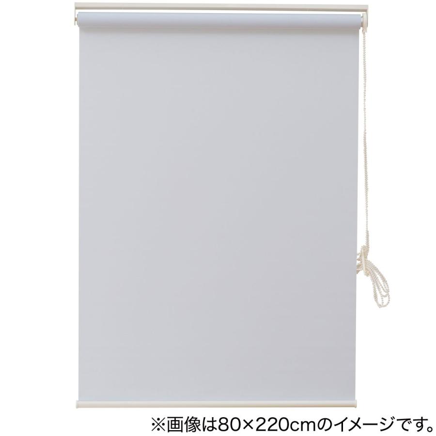 ニトリ 消臭加工ロールスクリーン(DE1 BL 80X220) 幅80×丈220cm