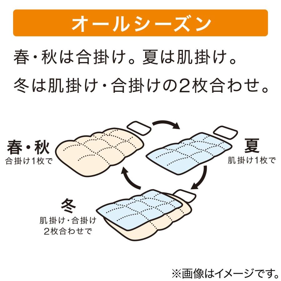 ニトリ 掛け布団 2枚合わせ・抗菌防臭 セミダブル(K2305 SD ニトリ 掛け布団 2枚合わせ・抗菌防臭 セミダブル(K2305 SD