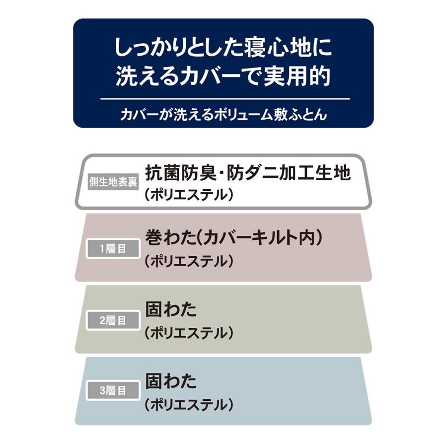 ニトリ カバーが洗えるボリューム 敷布団 ダブル(D F2209