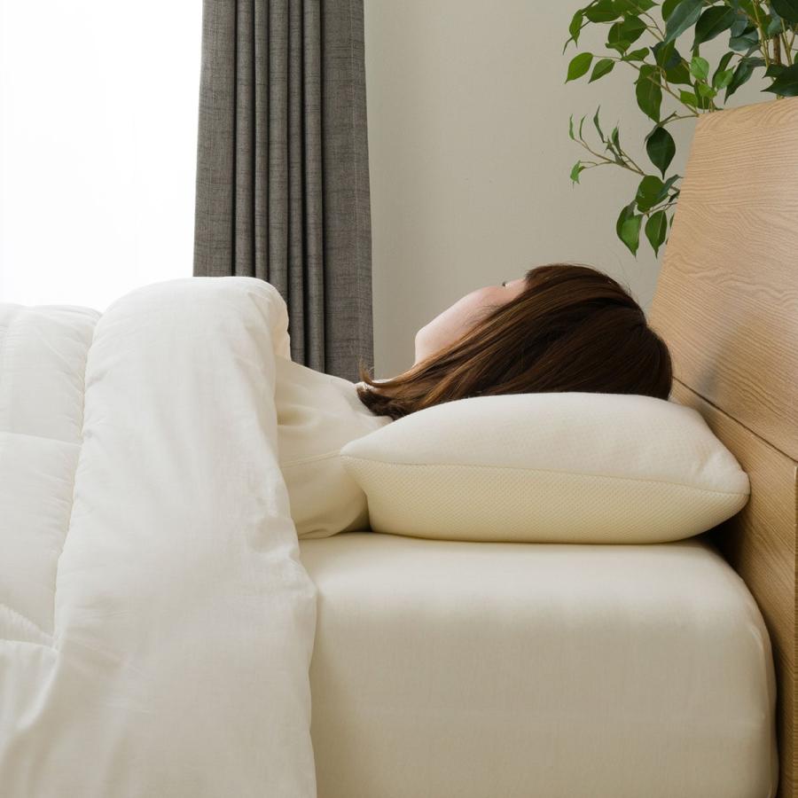 ニトリ（NITORI） 抗菌防臭 低反発チップ枕(Nチップ4MID P2204) 枕