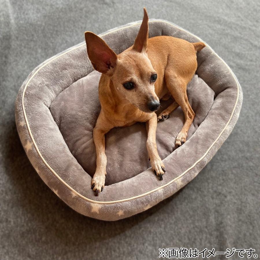 ペットベッド ｍ Nウォームi Nスターシカクm ニトリ 玄関先迄納品 1年保証 ニトリ Yahoo 店 通販 Yahoo ショッピング