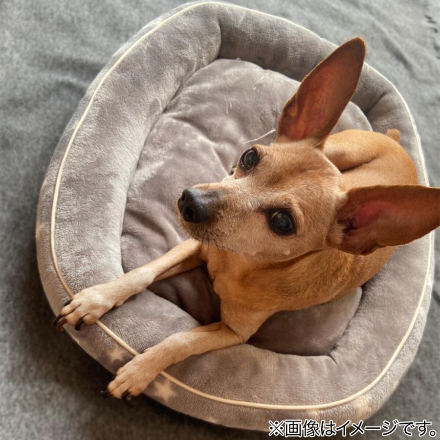 ペットベッド ｍ Nウォームi Nスターシカクm ニトリ 玄関先迄納品 1年保証 ニトリ Yahoo 店 通販 Yahoo ショッピング