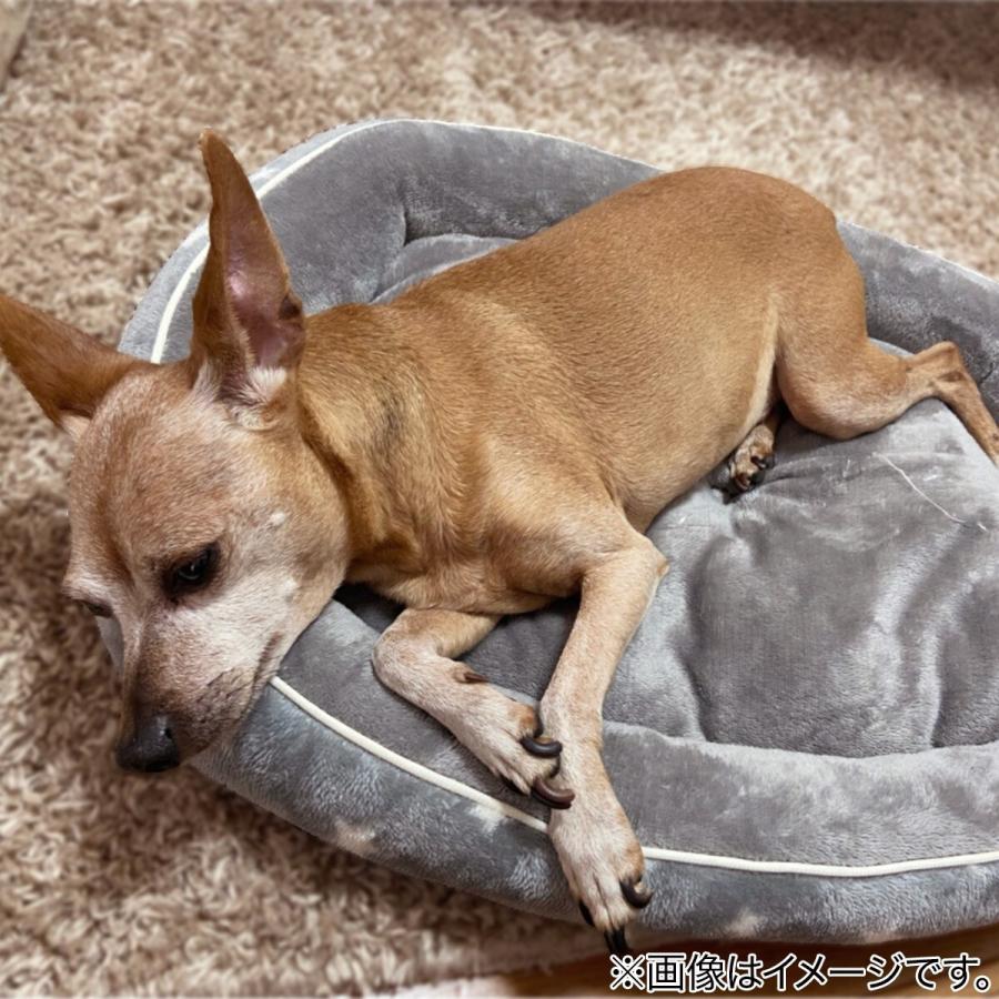 ペットベッド ｍ Nウォームi Nスターシカクm ニトリ 玄関先迄納品 1年保証 ニトリ Yahoo 店 通販 Yahoo ショッピング