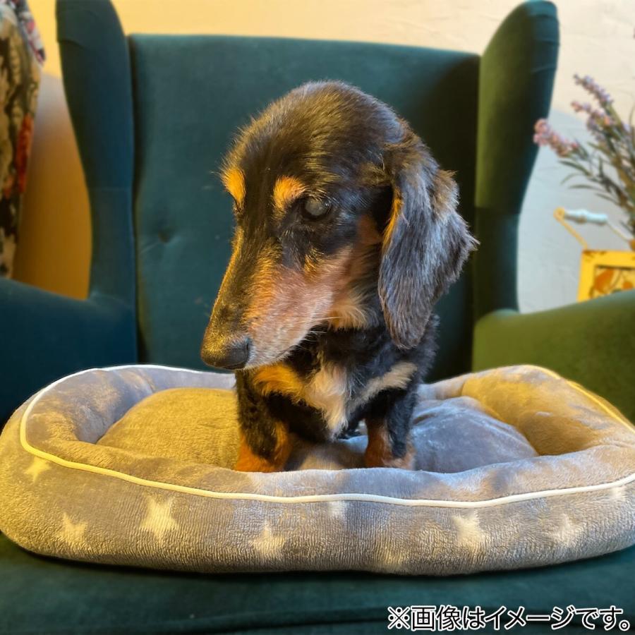 ペットベッド ｍ Nウォームi Nスターシカクm ニトリ 玄関先迄納品 1年保証 ニトリ Yahoo 店 通販 Yahoo ショッピング