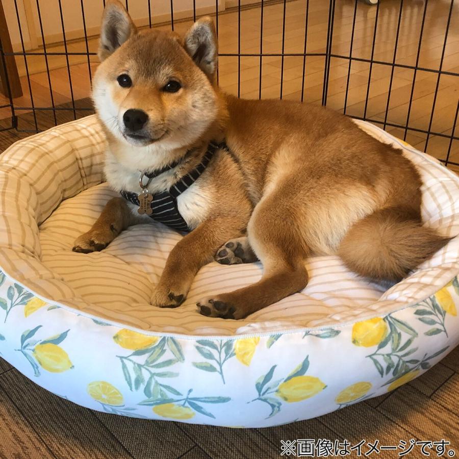 ペットベッド ｌ Nクールi N マル レモン L ニトリ 玄関先迄納品 1年保証 ニトリ Yahoo 店 通販 Yahoo ショッピング