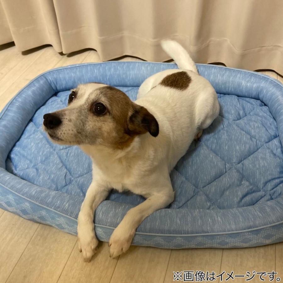 ペットベッド ｌ Nクールi Nシカクジオbl L ニトリ 玄関先迄納品 1年保証 ニトリ Yahoo 店 通販 Yahoo ショッピング