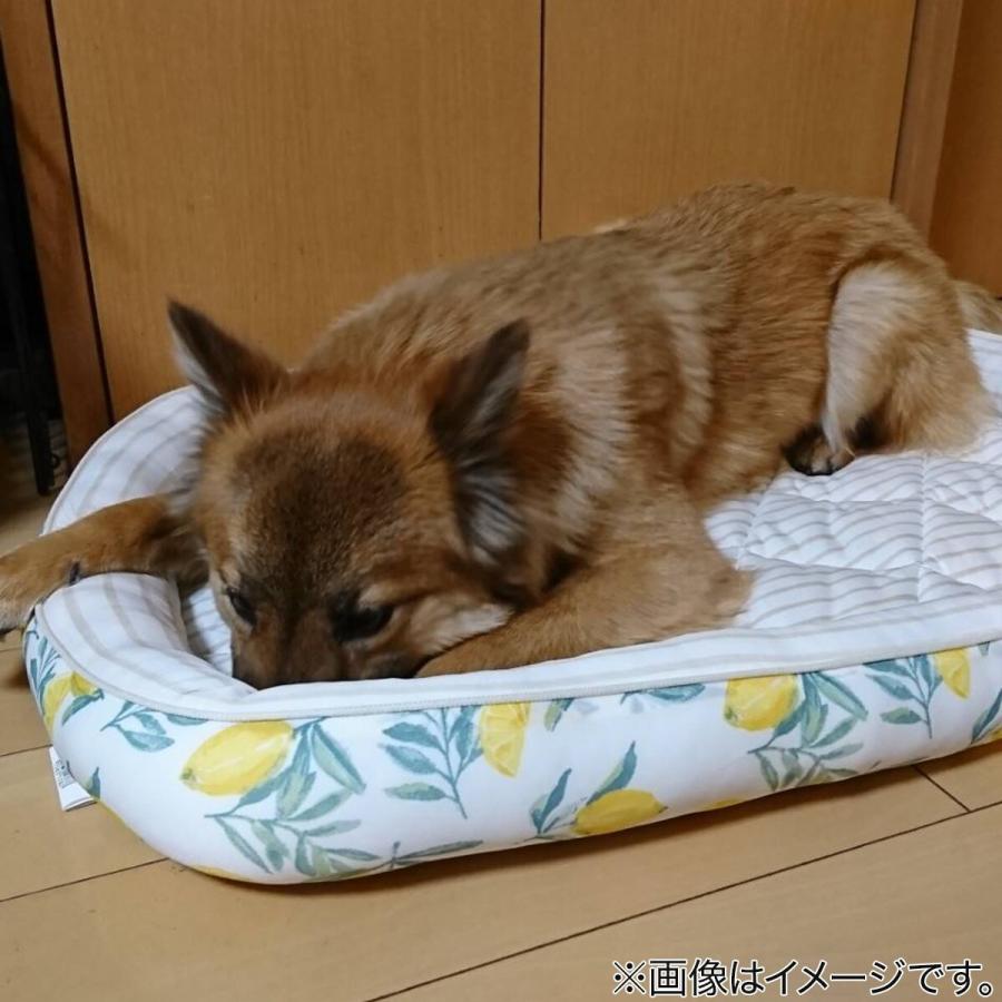 ペットベッド ｌ Nクール I Nシカク レモン L ニトリ 玄関先迄納品 1年保証 ニトリ Yahoo 店 通販 Yahoo ショッピング