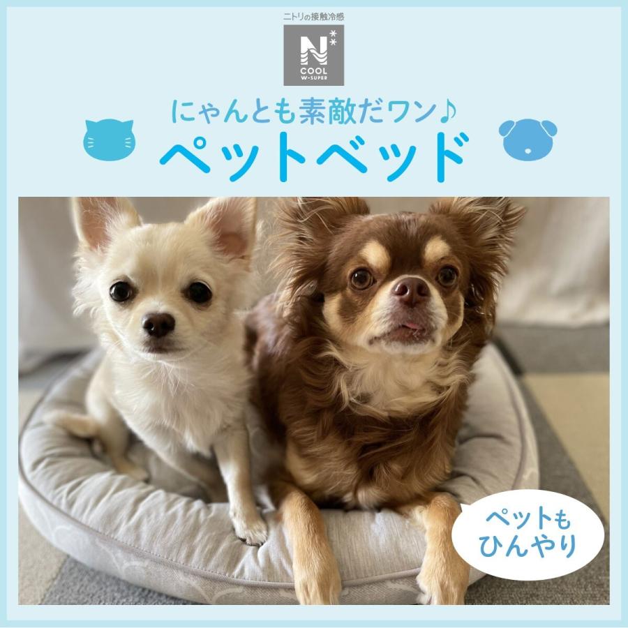 ペットベッド ｍ Nクールwspn S シカクm ニトリ 玄関先迄納品 1年保証 ニトリ Yahoo 店 通販 Yahoo ショッピング