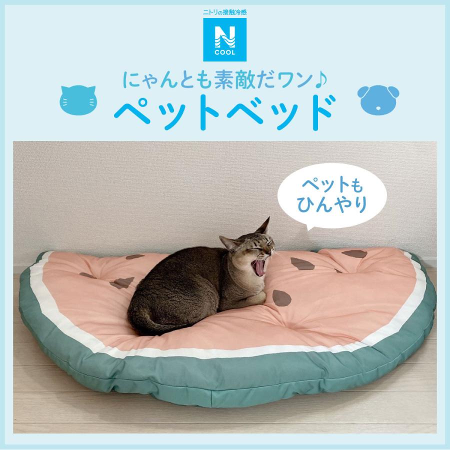 ペットベッド Nクール 2way スイカ N ニトリ 玄関先迄納品 1年保証 ニトリ Yahoo 店 通販 Yahoo ショッピング