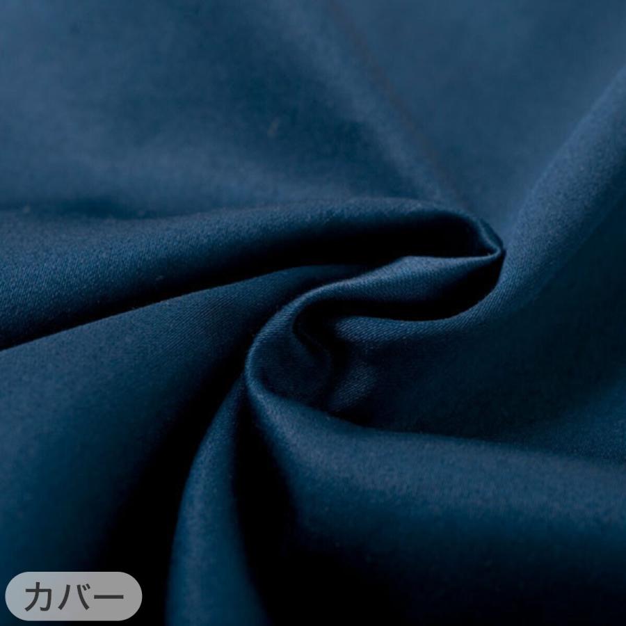 ニトリ　ホテルスタイル掛け布団ダブル　セレクト 完全2層式 ホテルスタイル掛布団 ダブル(Nホテルセレクト D