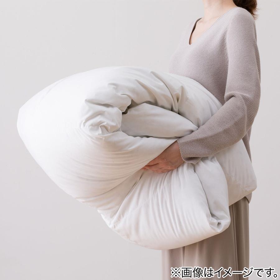 ２枚合わせ羽毛掛け布団　クイーン(NTR-2 K2324 Q) ニトリ ネット限定