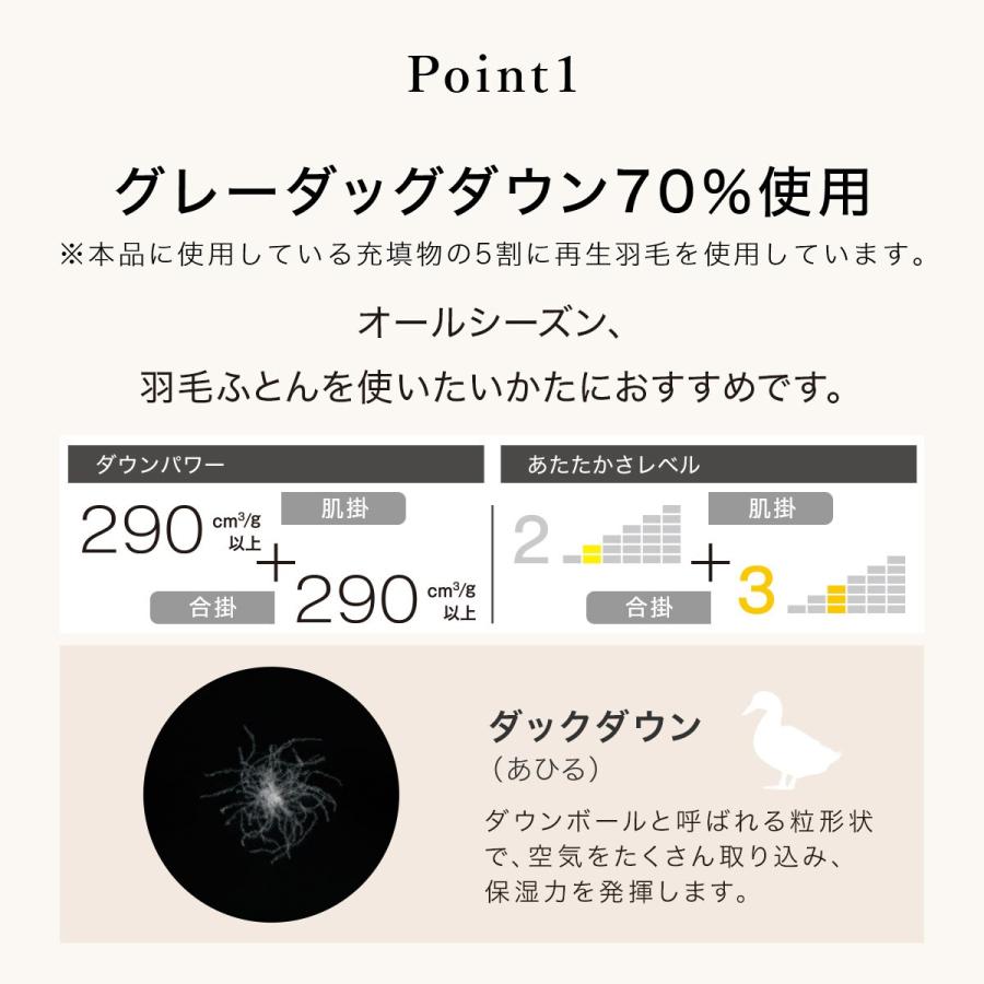 ２枚合わせ羽毛掛け布団　クイーン(NTR-2 K2324 Q) ニトリ ネット限定