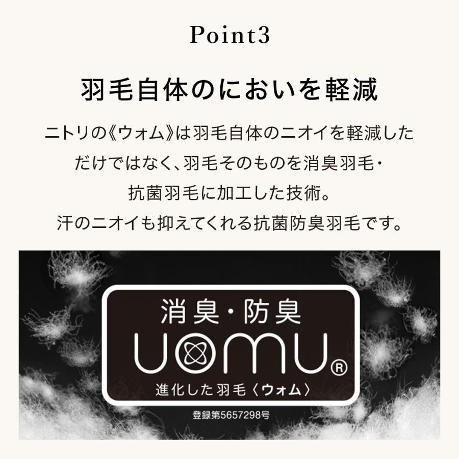２枚合わせ羽毛掛け布団　クイーン(NTR-2 K2324 Q) ニトリ ネット限定