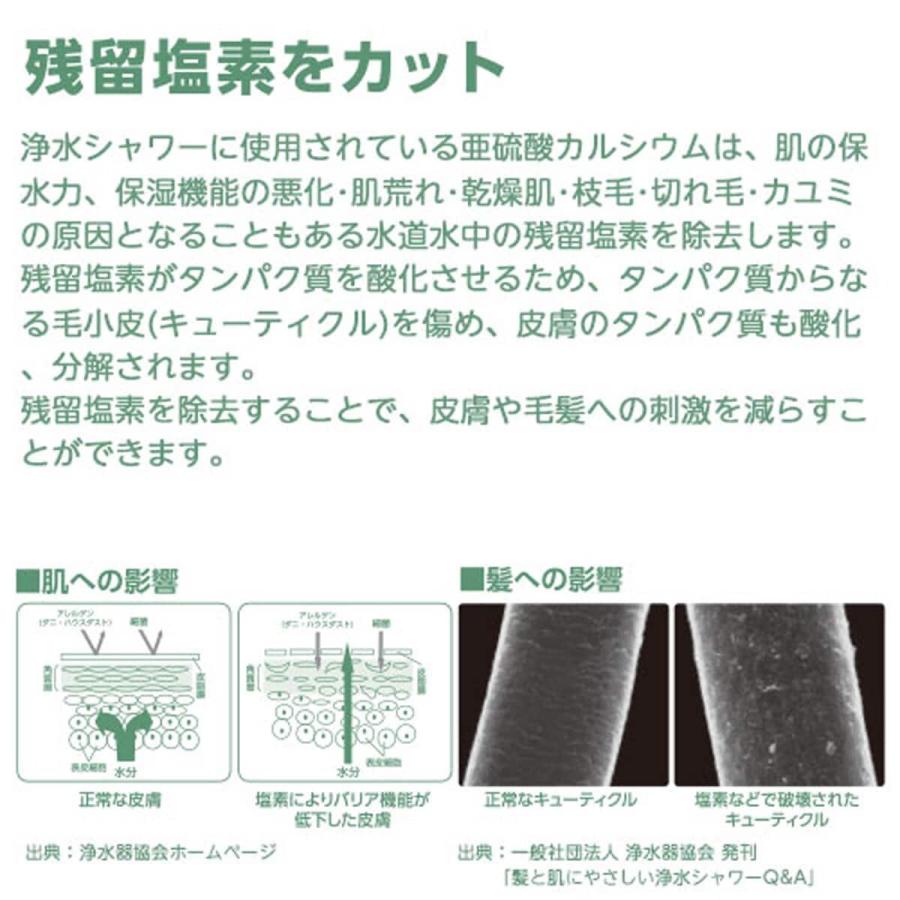 ニトリ（NITORI） 「日本アトピー協会推薦品」浄水シャワーヘッド 交換