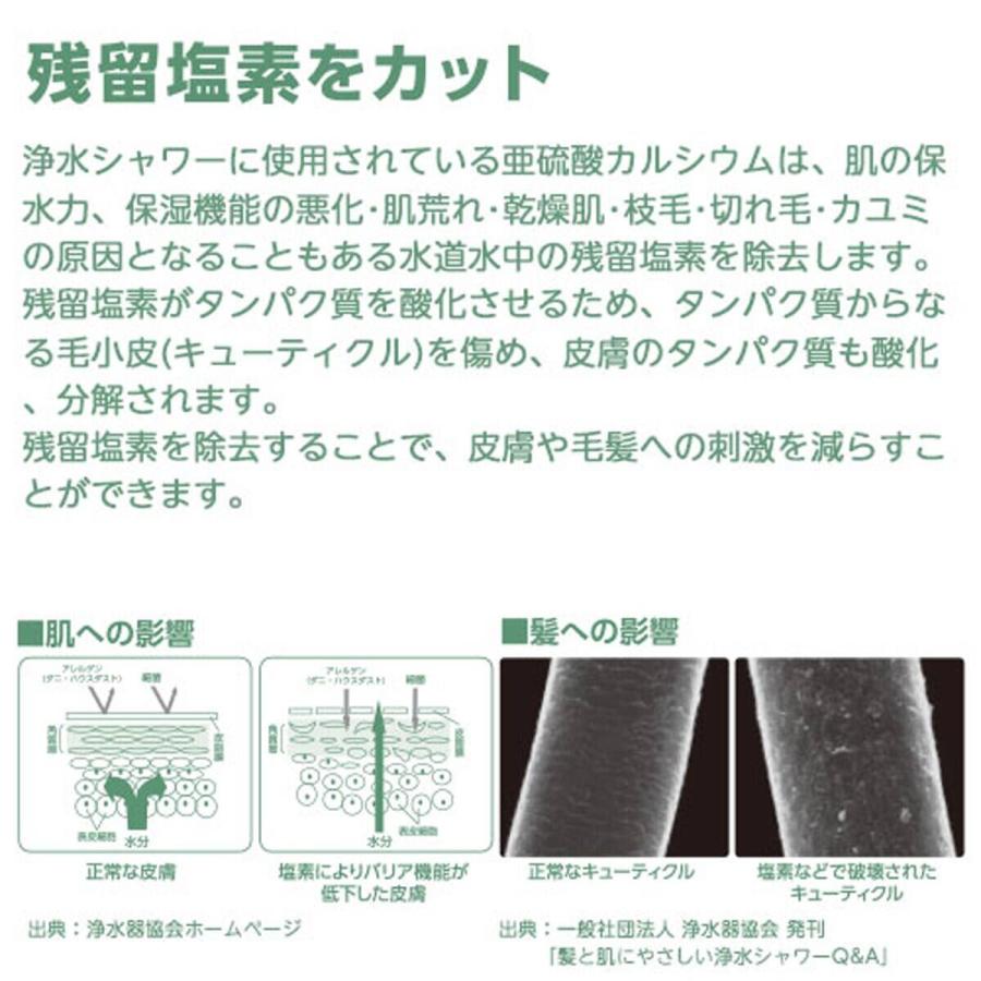 ニトリ（NITORI） 「日本アトピー協会推薦品」浄水シャワーヘッド 交換