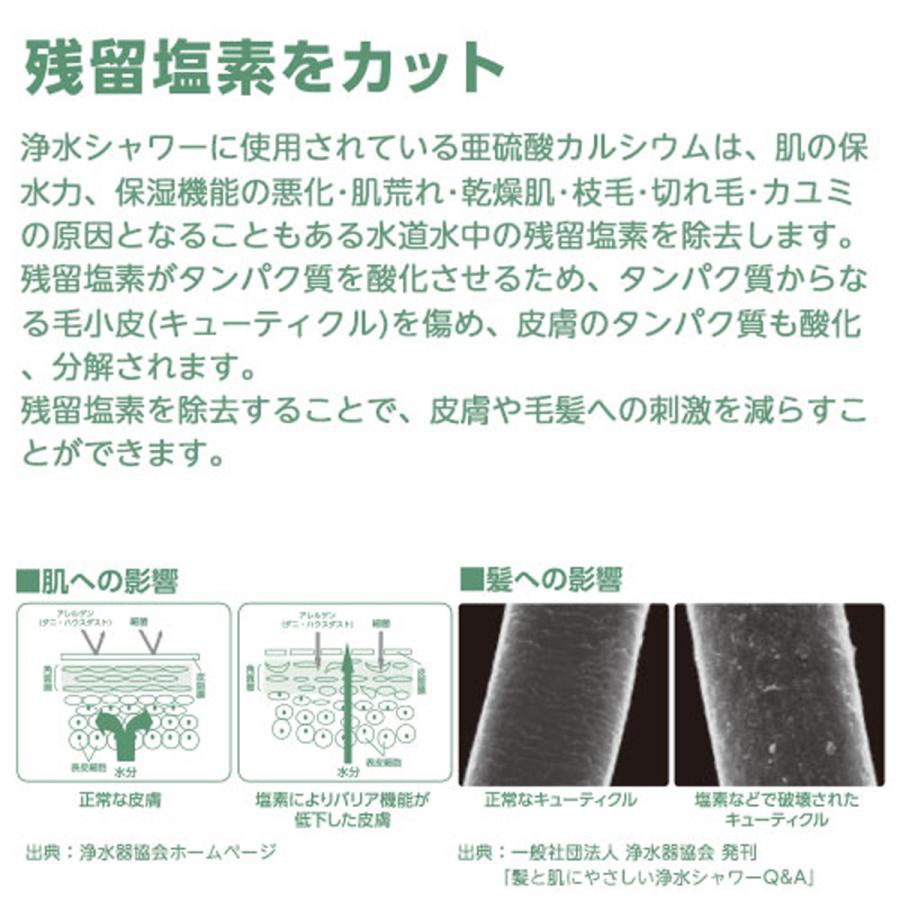 ニトリ（NITORI） 「日本アトピー協会推薦品」浄水シャワーヘッド