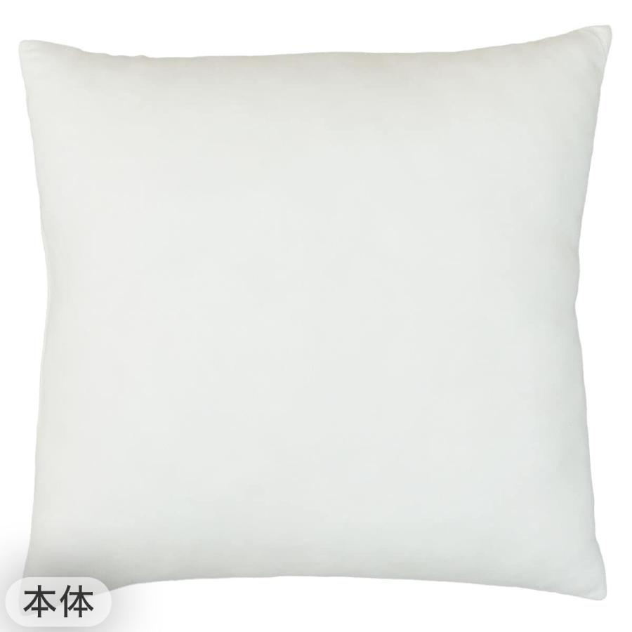 ニトリ（NITORI） クッションカバー(フリル FR005GY)+本体セット