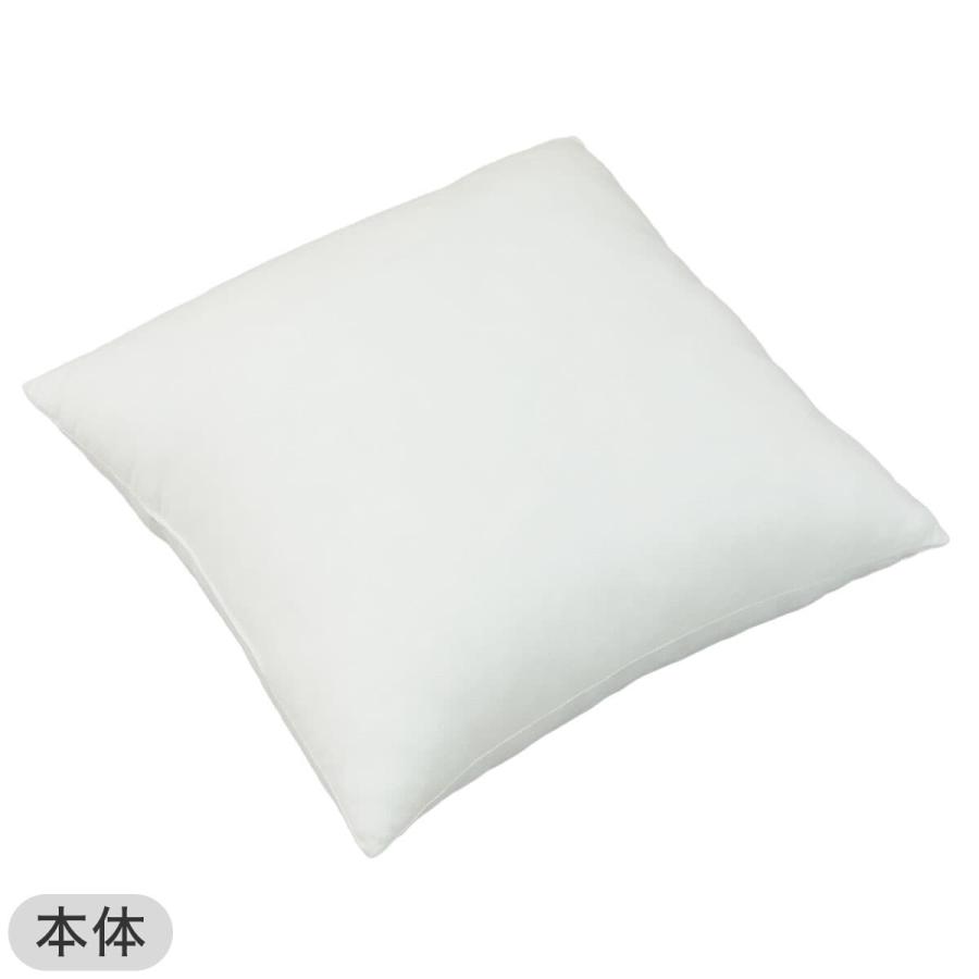 ニトリ（NITORI） クッションカバー(ハッパガラEL001 IV)+本体セット