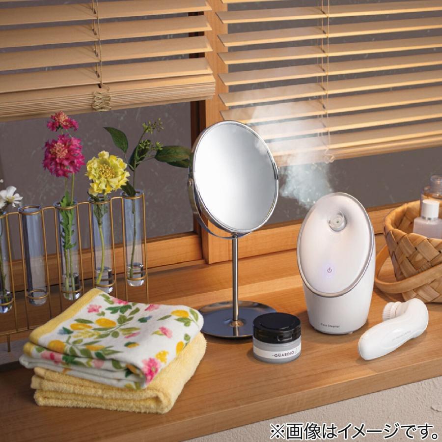 ニトリ 3倍鏡付きコスメミラー ハイタイプトレー付き(HL6019