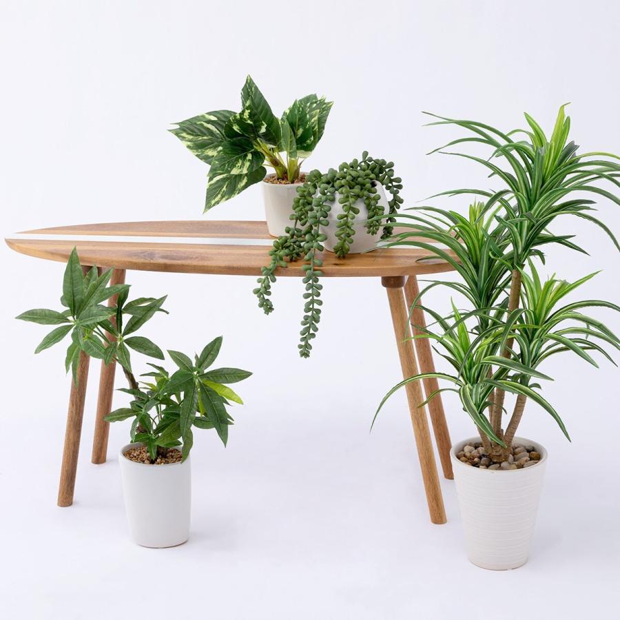 サーフボードプランター台 L Nvt ニトリ 玄関先迄納品 1年保証 942 ニトリ Yahoo 店 通販 Yahoo ショッピング