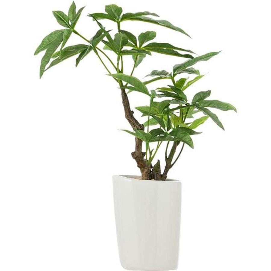 ニトリ（NITORI） パキラ M(F355-PU375/82NT) フェイクグリーン