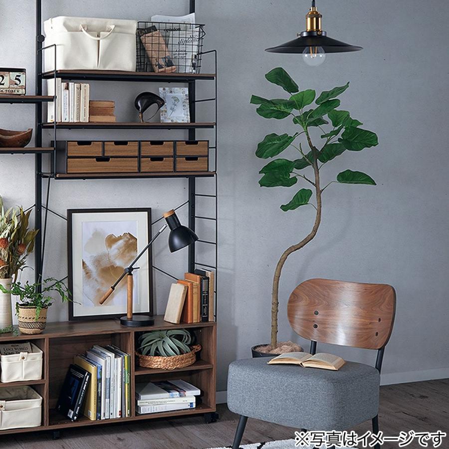 美品】ニトリ / フェイクグリーン(ウンベラータ)