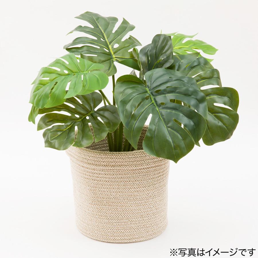 ニトリ（NITORI） 鉢カバー(L ベージュ HN715) : ニトリ Yahoo!店