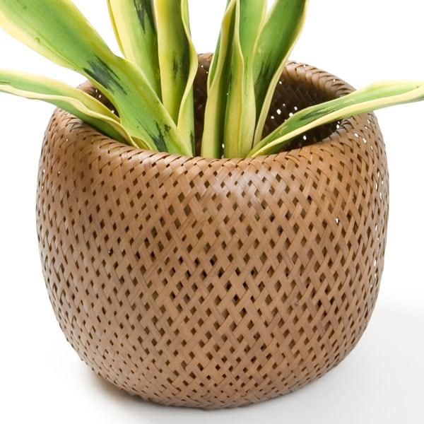 鉢カバー ウィーブl ブラウン ニトリ 玄関先迄納品 1年保証 408 ニトリ Yahoo 店 通販 Yahoo ショッピング